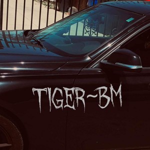 Tiger-B.M (Explicit)