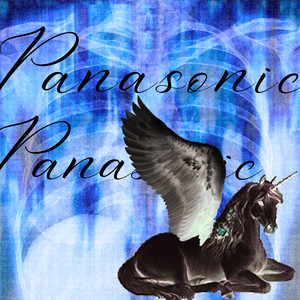 p a n a s o n i c (Explicit)
