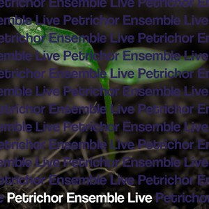 Congratulations You Just Reinvented Feudalism (Live)