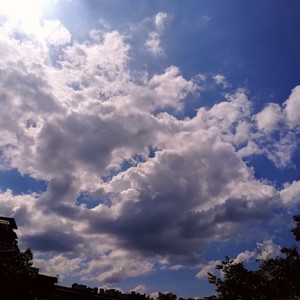 白月光