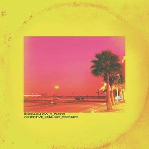 Objective (Explicit)