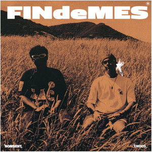 FINdeMES