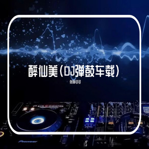 醉仙美 (DJ弹鼓车载版)