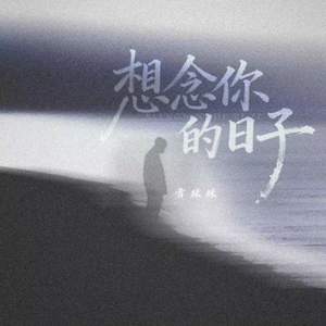 想念你的日子