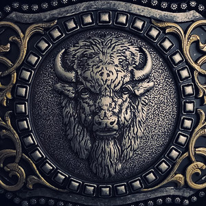 I Roam With the Buffalo