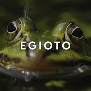Egioto