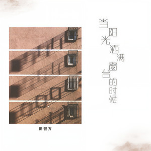 田智方 - 当阳光洒满窗台的时候