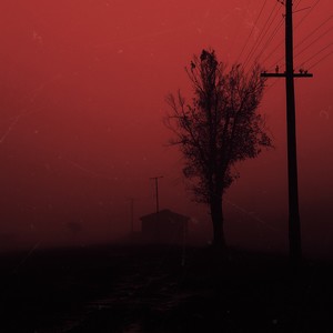 the scars