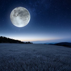 El Sonido De La Luz Atenuándose