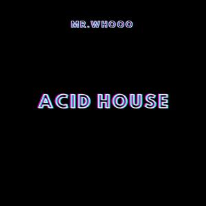 Acid House