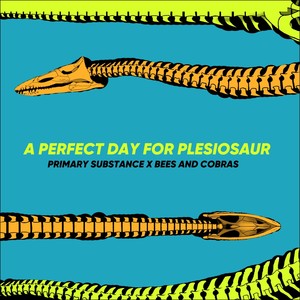 a perfect day for plesiosaur