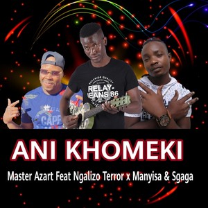 Ani Khomeki (feat. Ngalizo Terror, Manyisa & Sgaga)