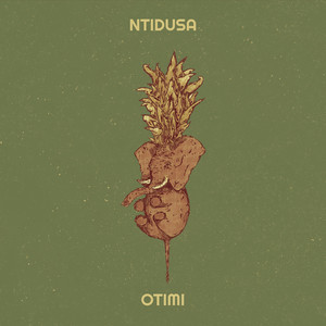 Ntidusa