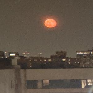 FaLsE REALiTy (Explicit)