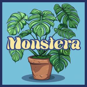 MONSTERA (Explicit)