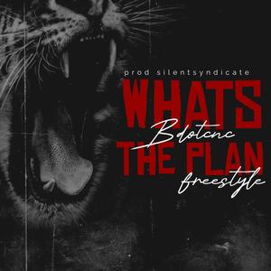 Whats The Plan