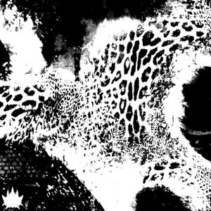 omg (feat. Fenix Darko) (Explicit)