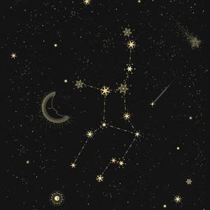 Stargazr (feat. KxroKari) (Explicit)