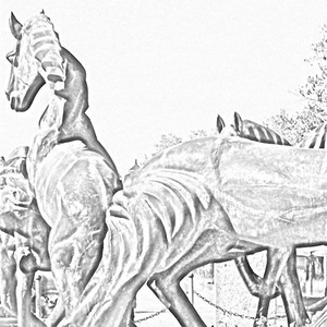 我们一样的坚强