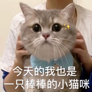 捞月亮的人 - 比利姥姥封面
