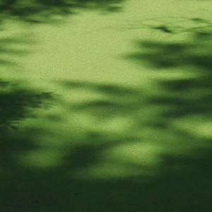时间都去哪了（感恩父亲节）