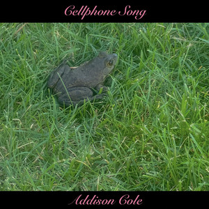 Cellphone Song (Explicit)