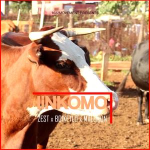 Iinkomo (feat. Boiketlo & Malemon)