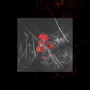 MORE THAN FRIENDS (feat. SYBYR) (Explicit)