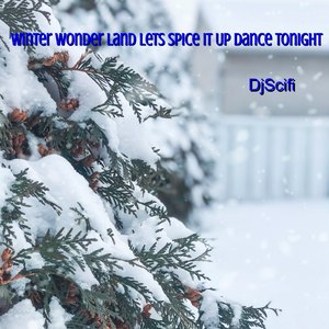 Winter Wonder Land Lets Spice It up Dance Tonight