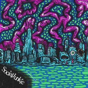 SocialJunkie Vol I (Explicit)