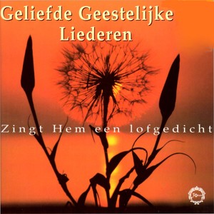Vaste Rots Van Mijn Behoud