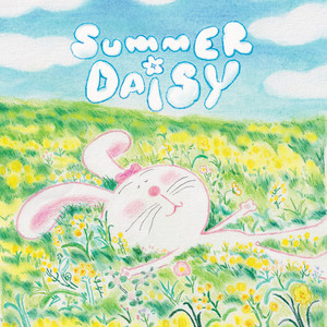 Summer Daisy