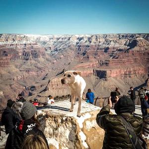 Sheesh Freestyle(feat. Yung Tag) (Explicit)