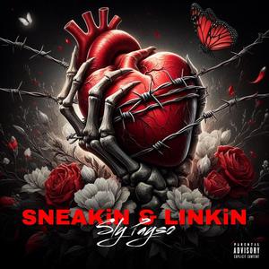 Sneakin & Linkin (Explicit)
