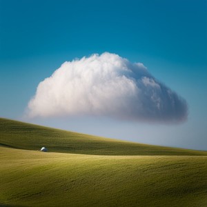 What Cannot Be Said Still Moves