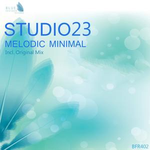 Melodic Minimal - Single