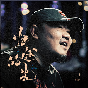 归途的光封面