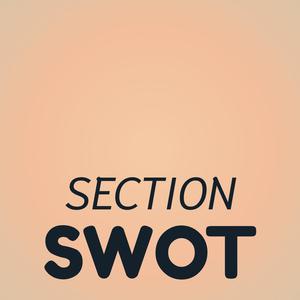 Section Swot