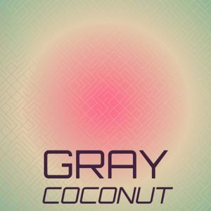 Gray Coconut