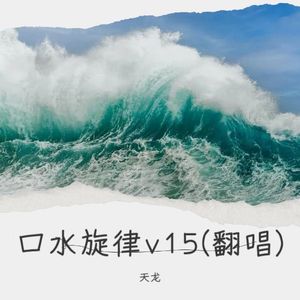口水旋律v15 (天龙 remix)