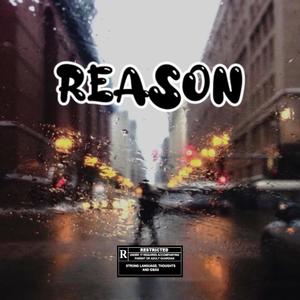 Reason (Explicit)