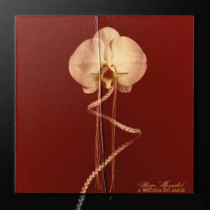 Interlúdio (Glyn Z)