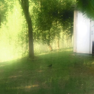 When u knocking Ft.翁伟栋wwd(prod.timmiesez)