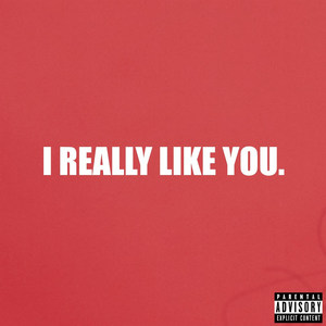 I Really Like You (Explicit)