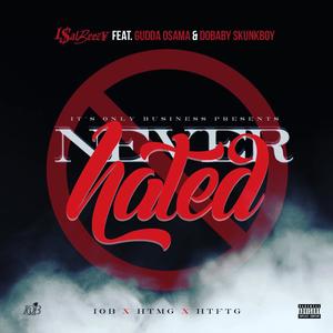 Never Hated (Explicit)