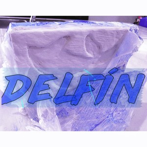 Delfín