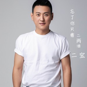 忘了你只需二两酒 (DJ田超版伴奏)