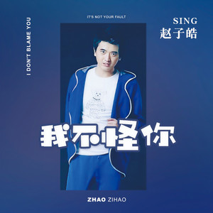 我不怪你