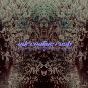 Adrenaline Rush (Explicit)