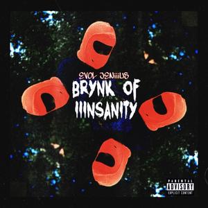 BRYNK OF iiiNSANITY (Explicit)